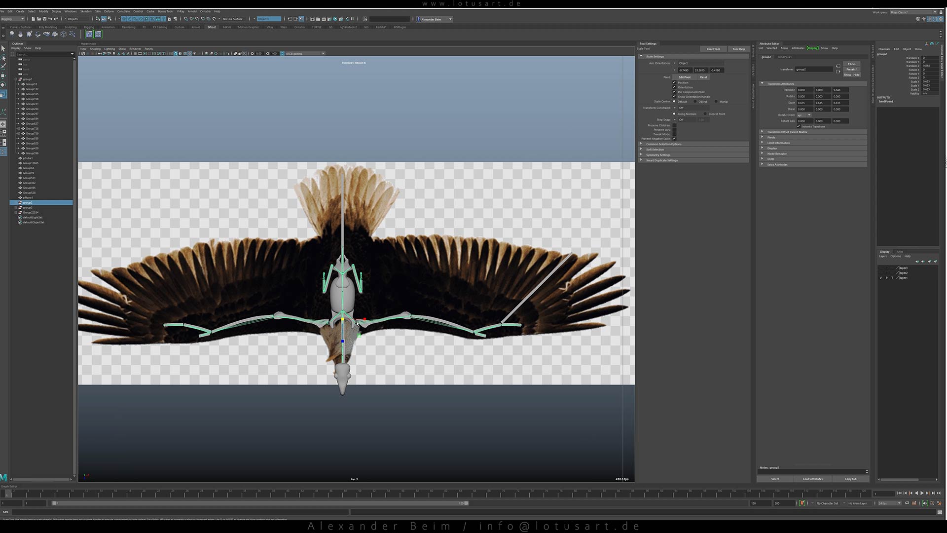 3d_bald_eagle_body_size_measurement 3D-animiertes Adler-Vogelmodell für den 'Adler Mannheim' Trailer
