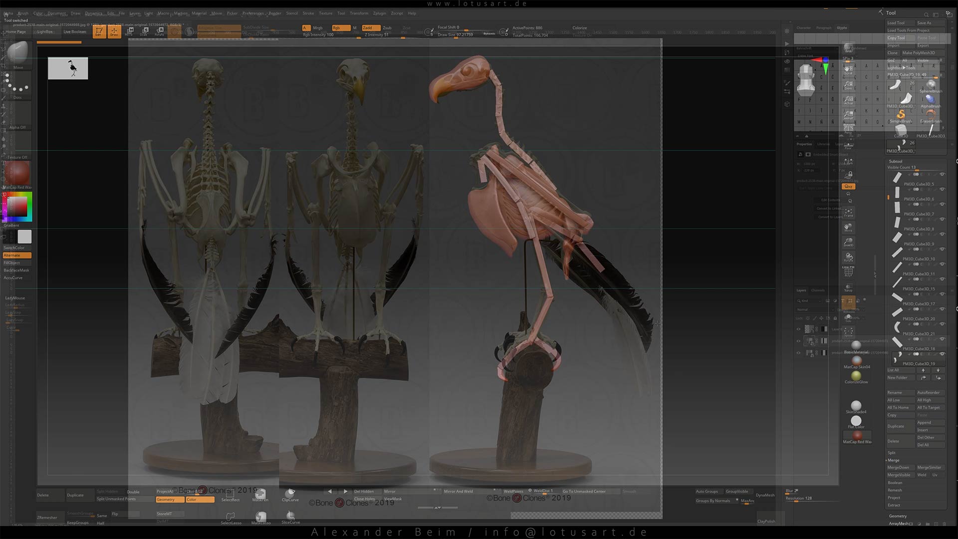 3d_bald_eagle_tutorial_skeleton_creation 3D-animiertes Adler-Vogelmodell für den 'Adler Mannheim' Trailer
