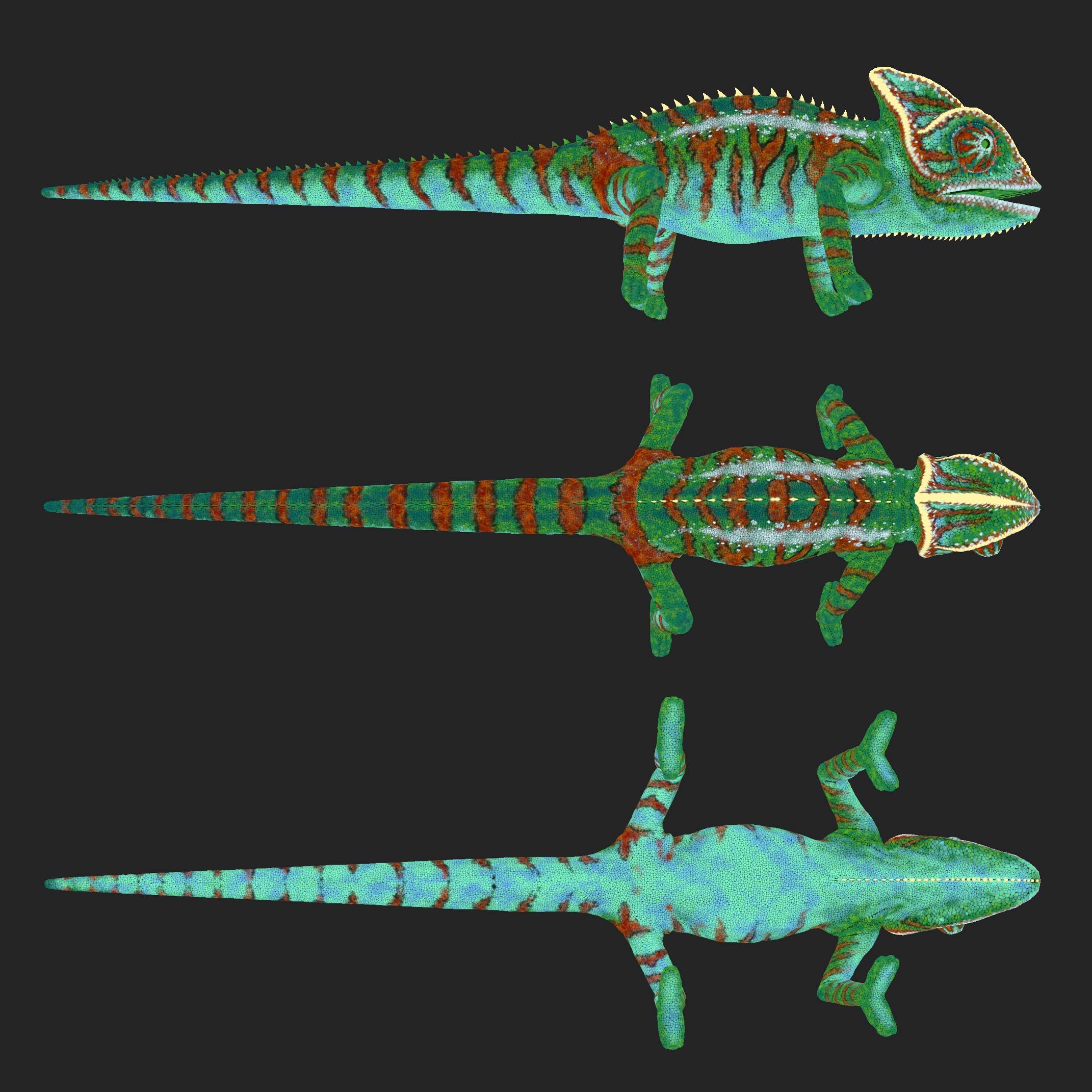 cg_chameleon_animals_textur_substance_painter Fotorealistisches Chamäleon 3D-Model mit Animation und Kameraverfolgung
