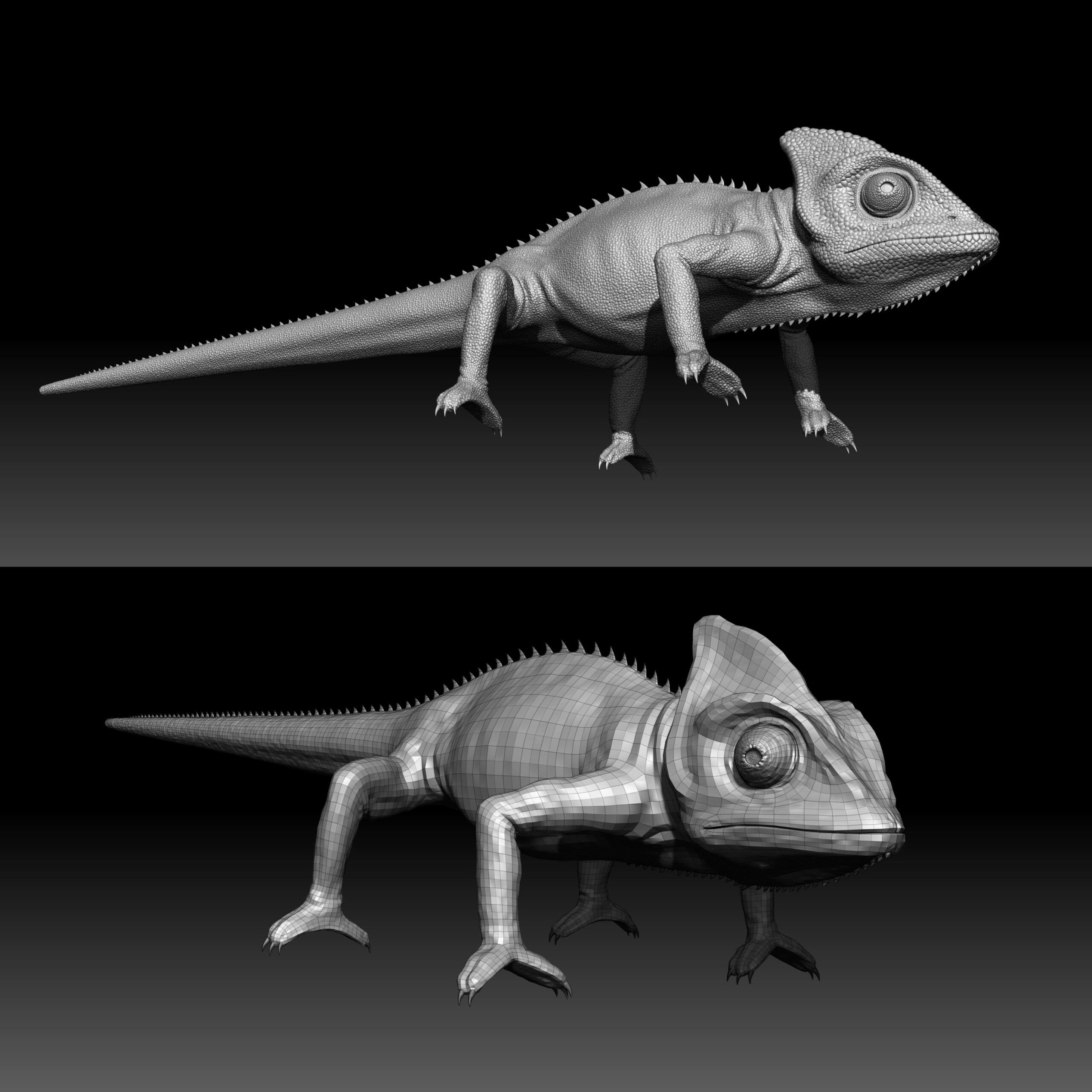cg_chameleon_animals_zbrush-sculpting-scaled Fotorealistisches Chamäleon 3D-Model mit Animation und Kameraverfolgung